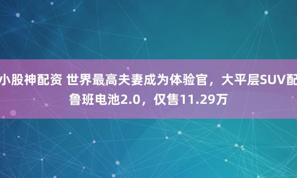 小股神配资 世界最高夫妻成为体验官，大平层SUV配鲁班电池2.0，仅售11.29万